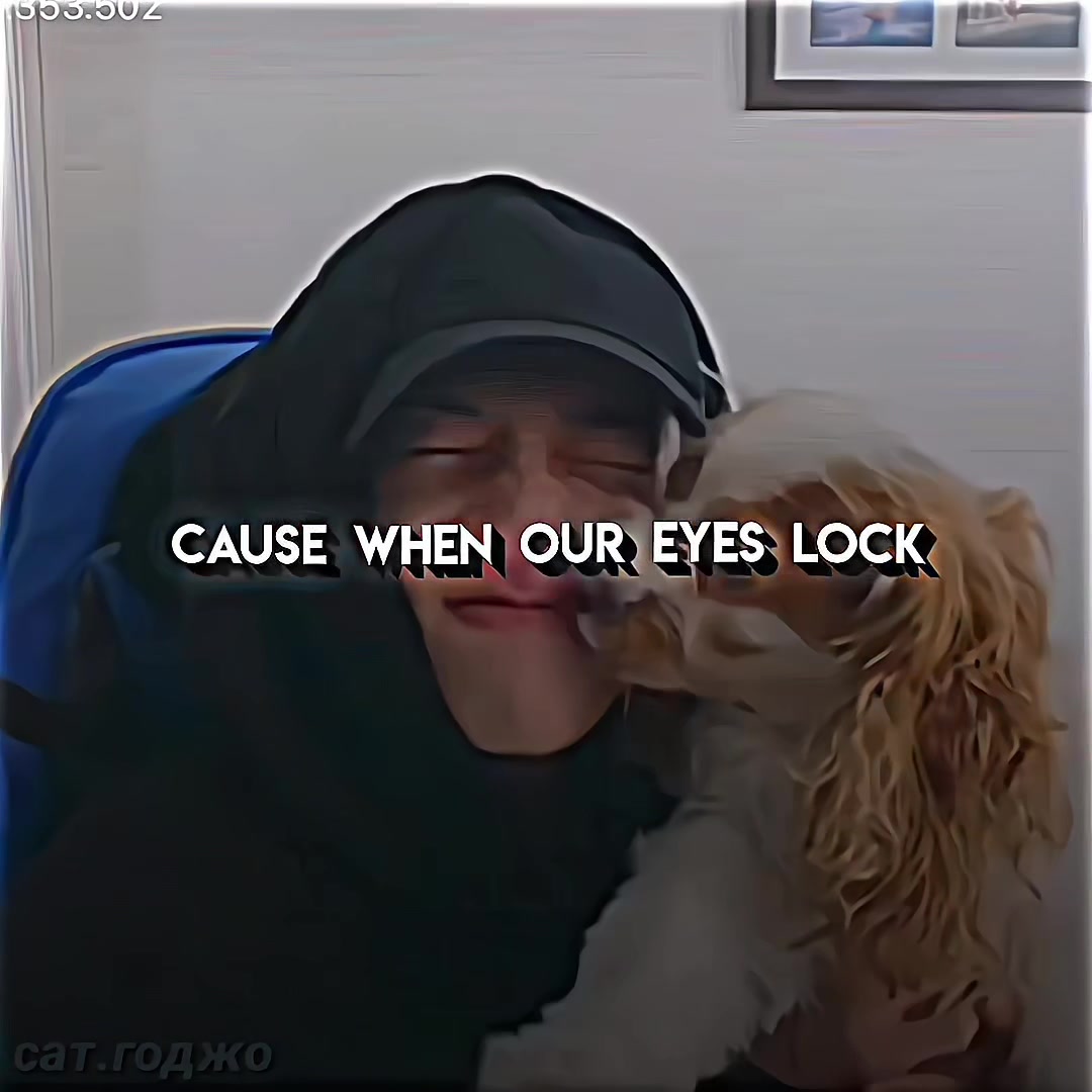 @БанЧаниха🐺💘