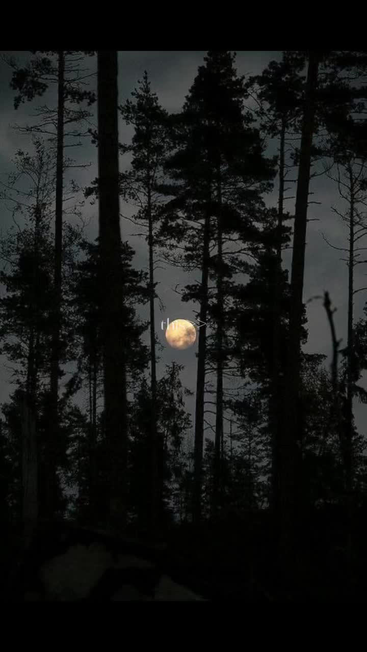 @🌿🌜Raíchéal Mac Lughaigh🌛🌿