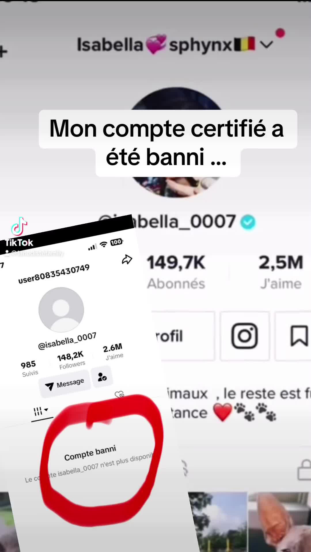 @isabella_ooo7🇧🇪