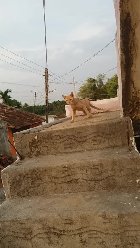 @Seema RJ
