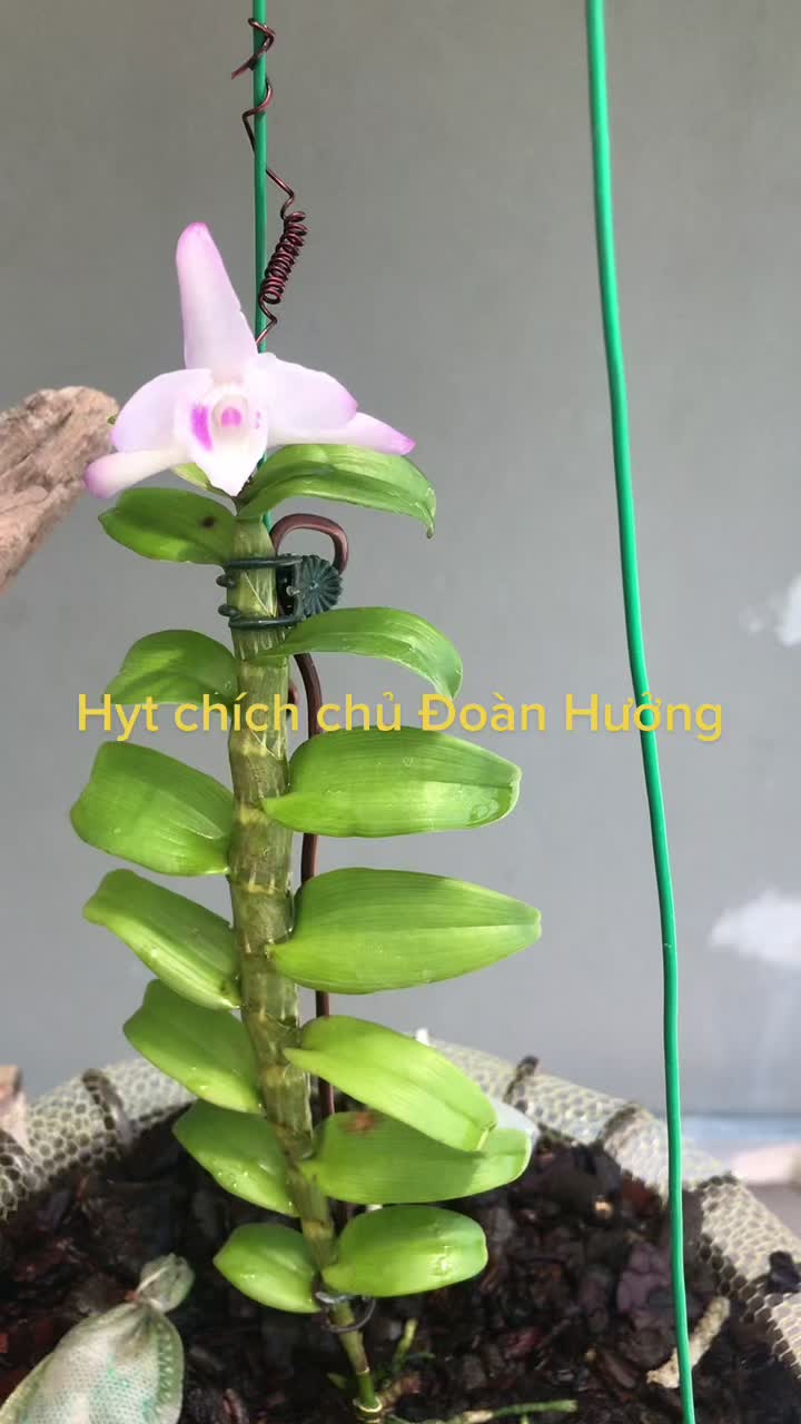 @Đoàn Hưởng