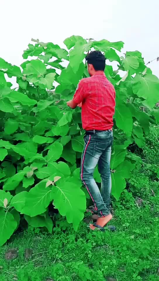 @Rahul ankel