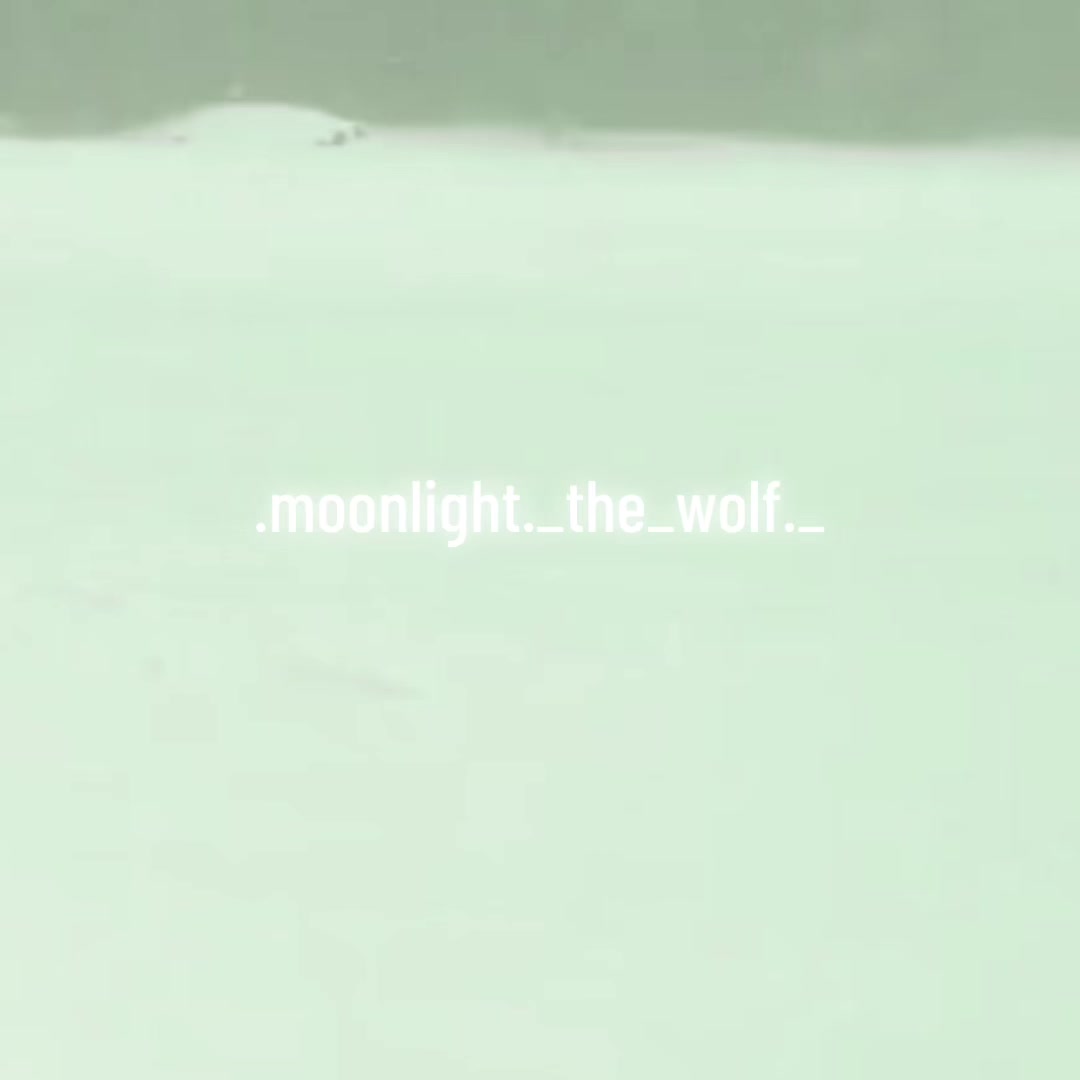 @💜🐺moonlight🐺💜