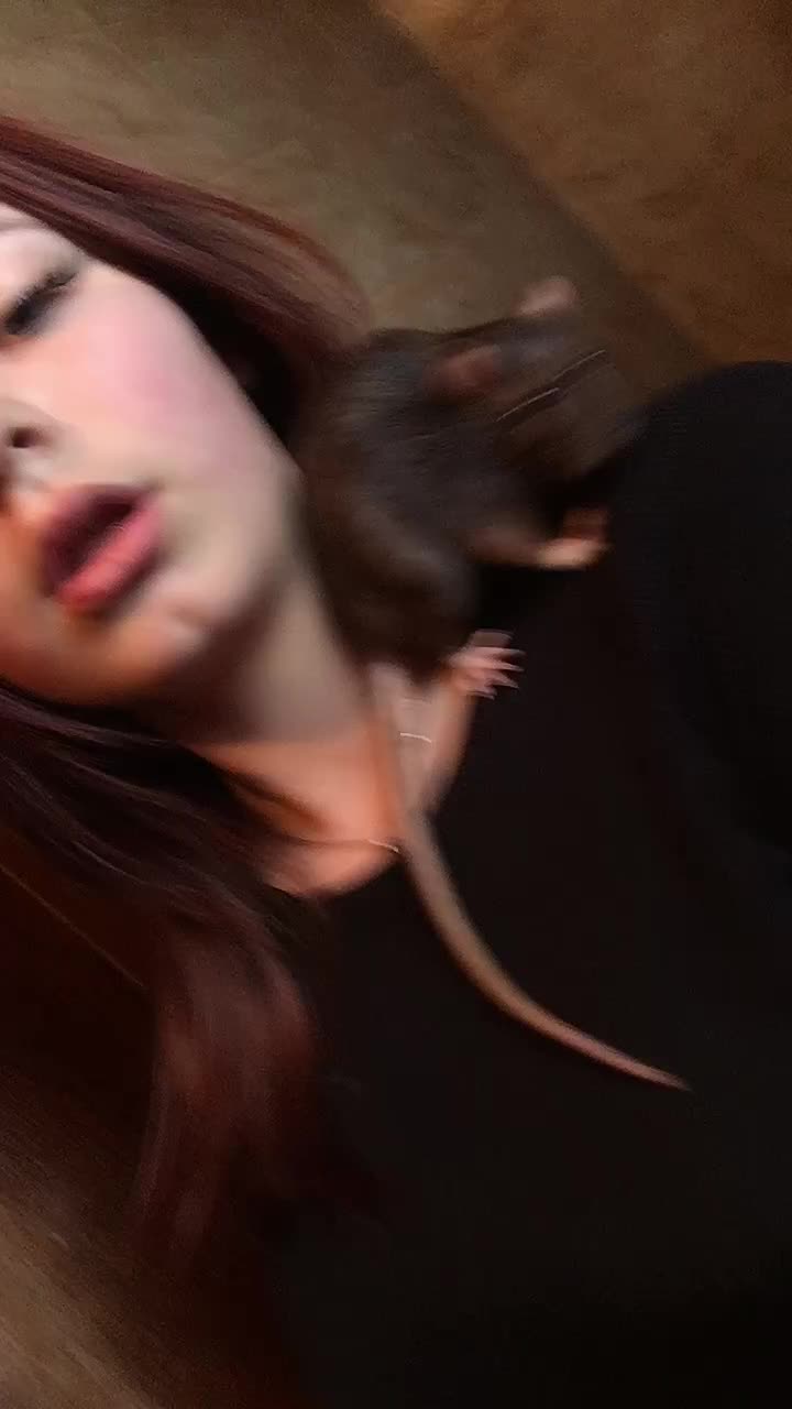@💤