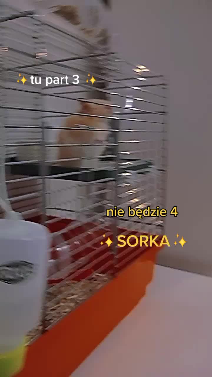 @hejka