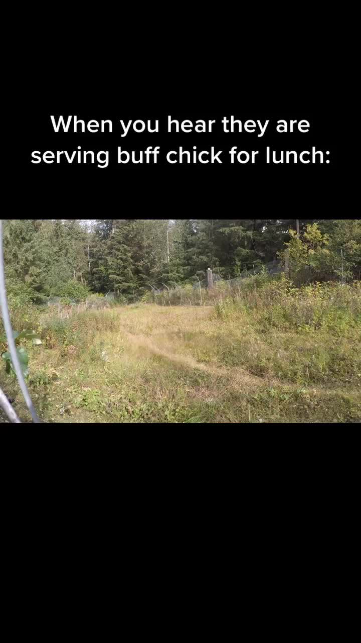 @Buff Chick Day