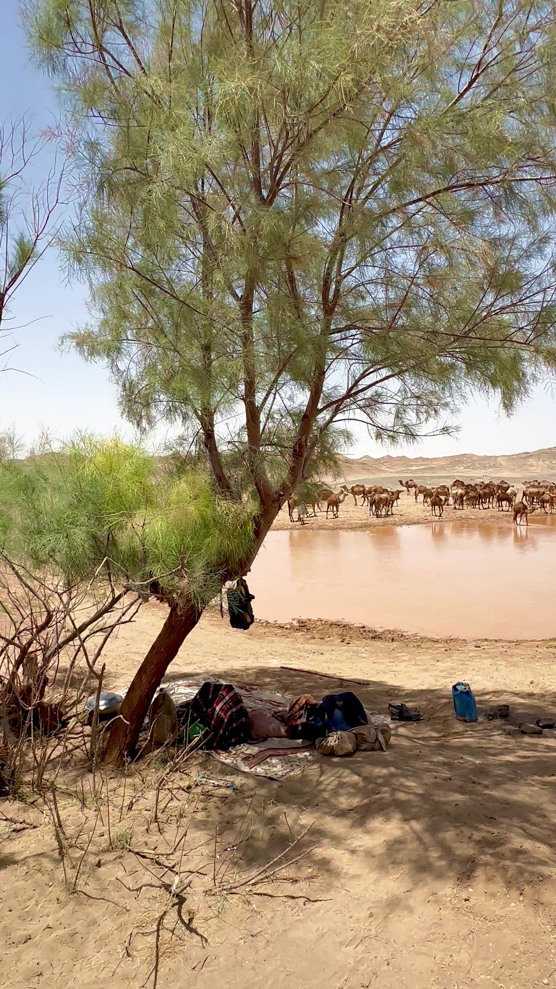 @بلوچستان عشق است 🐪🏜️🪶