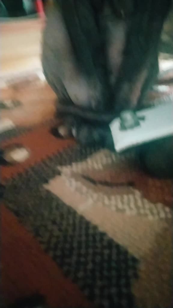@котик Буба