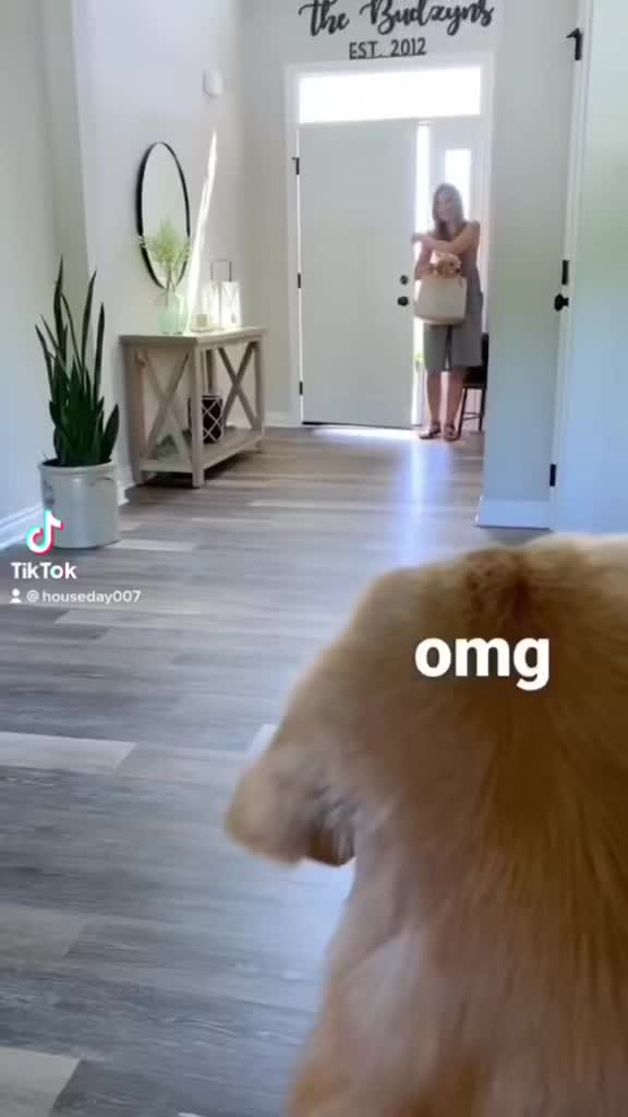 @Houseday007