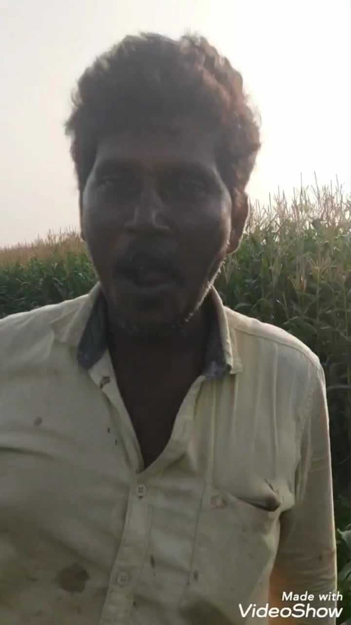 @user8239974086981
