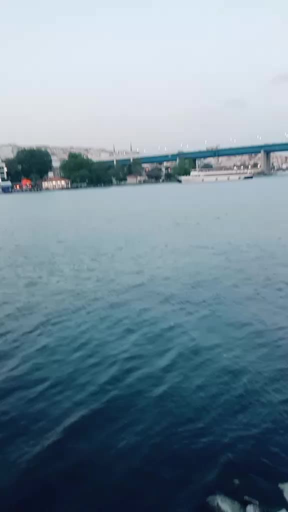 @gulfamdogar265