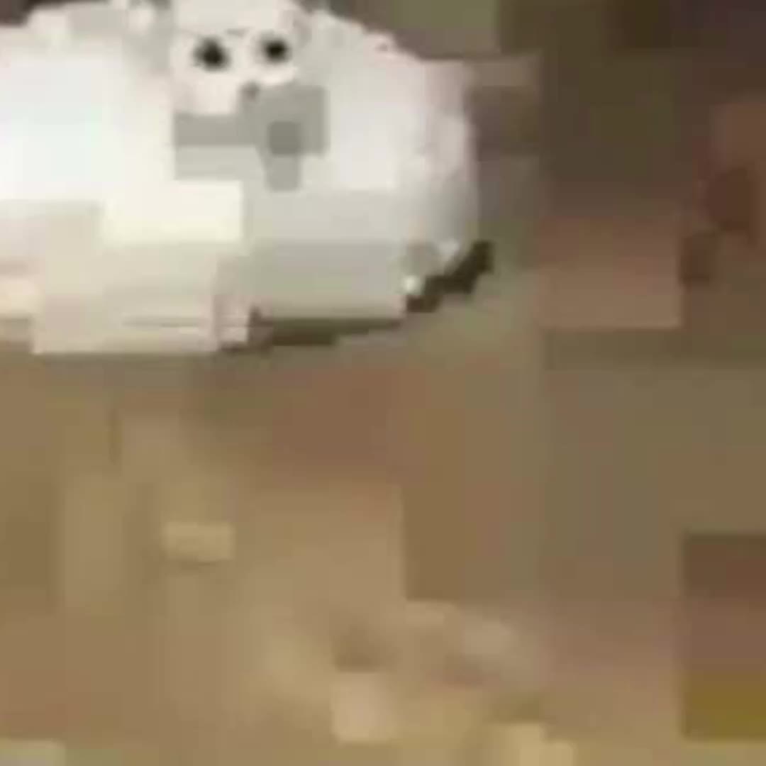 @what000123020