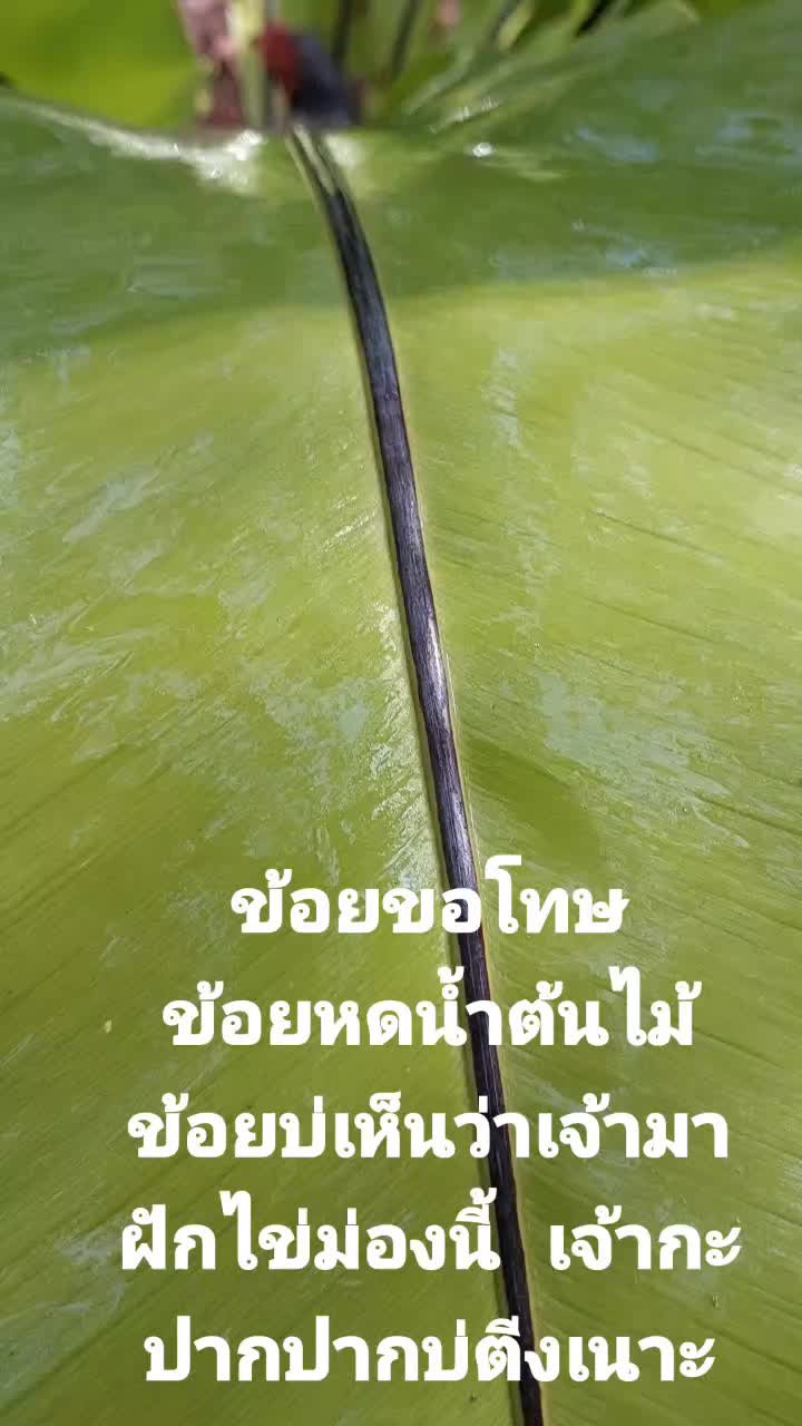 @ท่านขุนพล