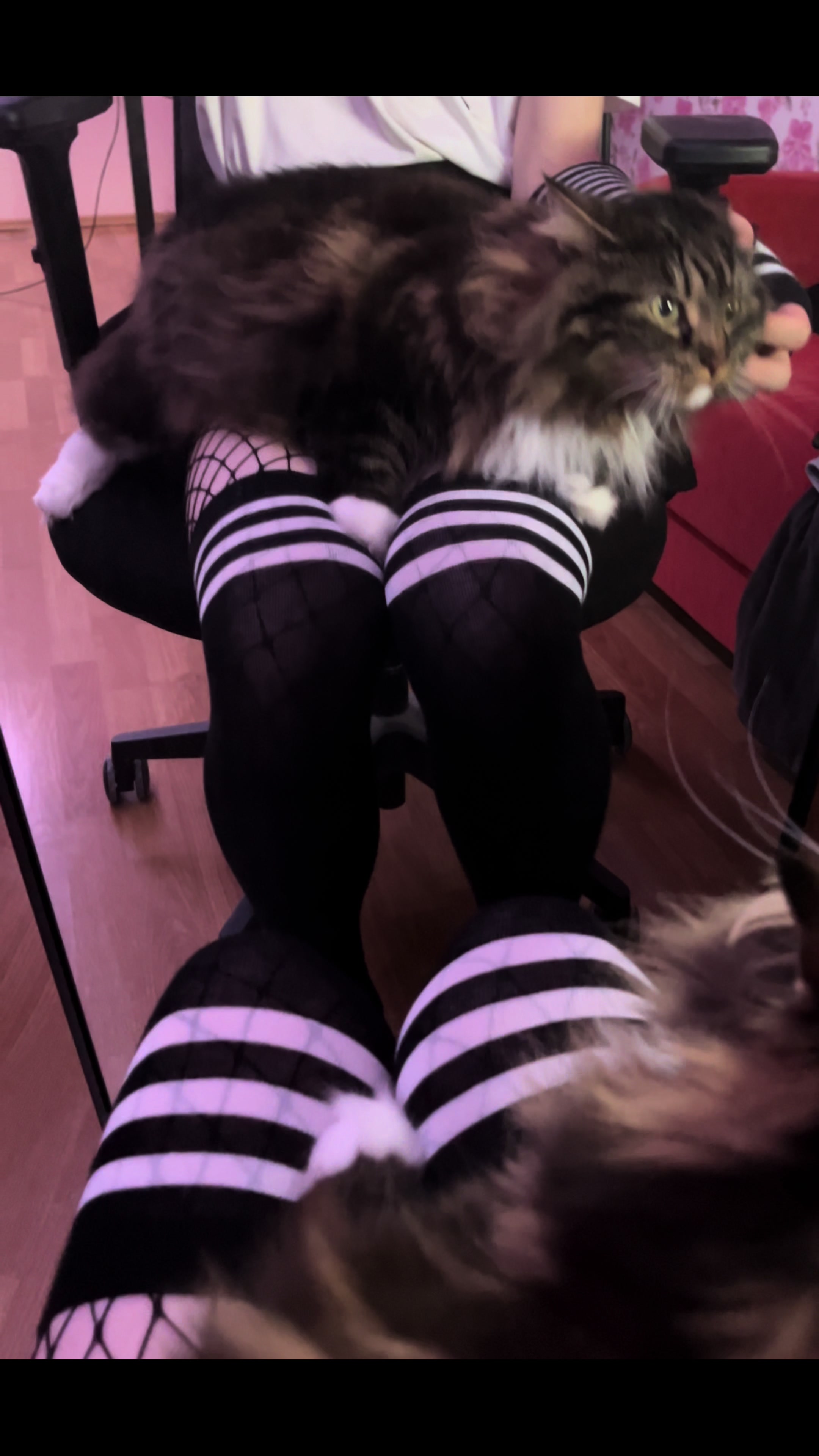 @FemboyMana