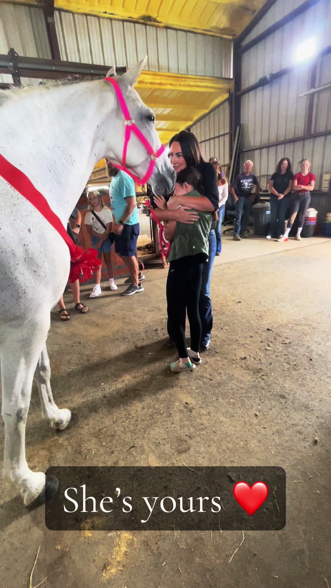 @Grace Equestrian TX