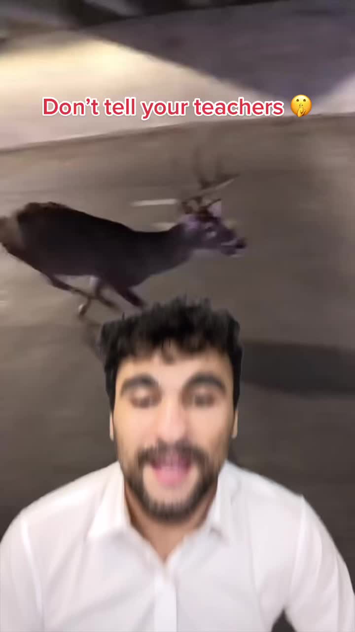 @kadama