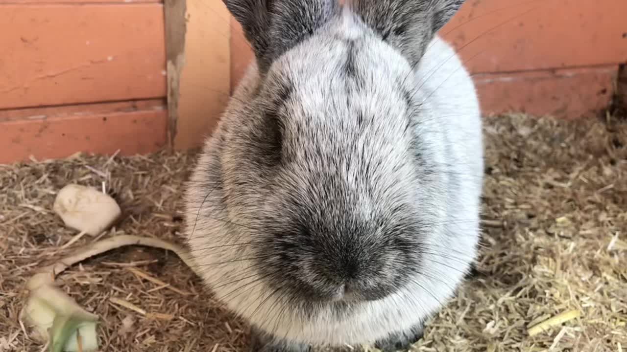 @🐾