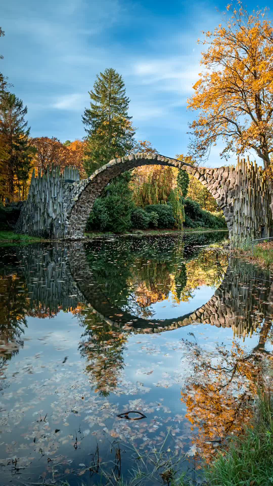 @D. Simmank Photo