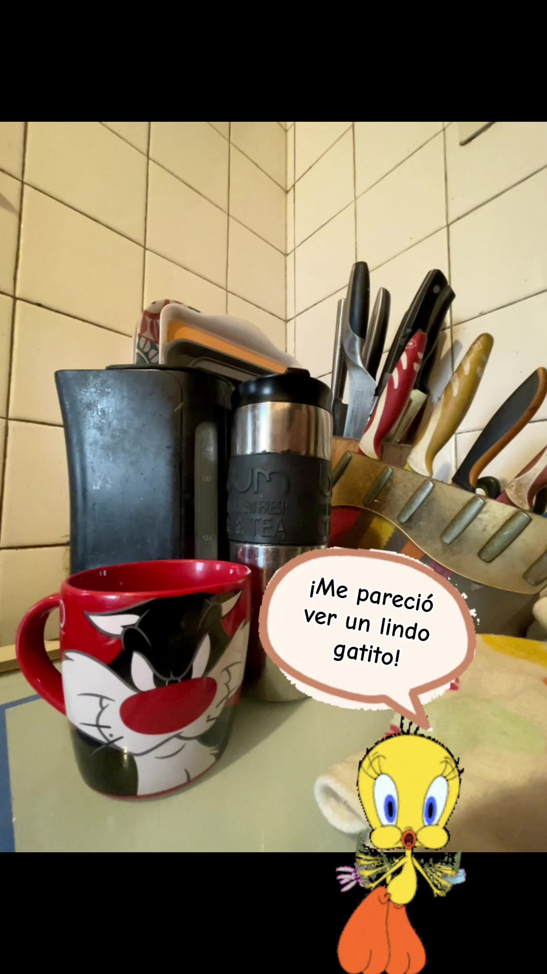 @nicolasredabu