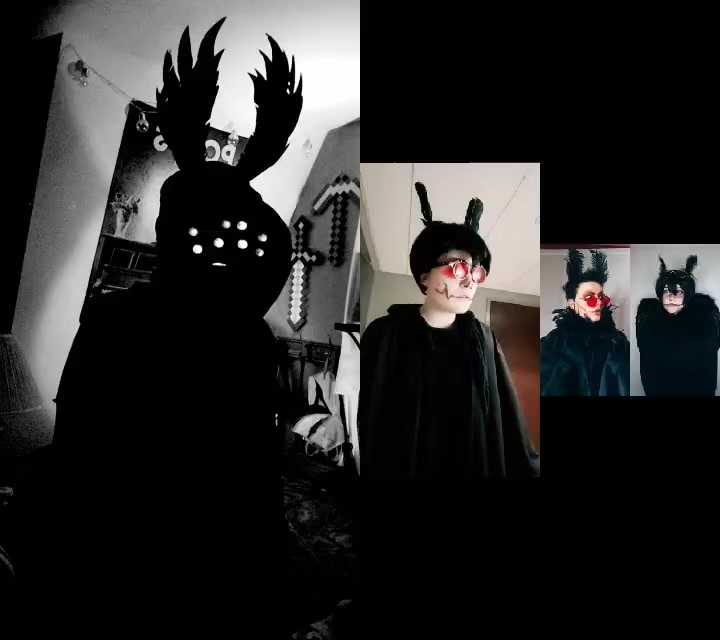 @Felis Tenebris