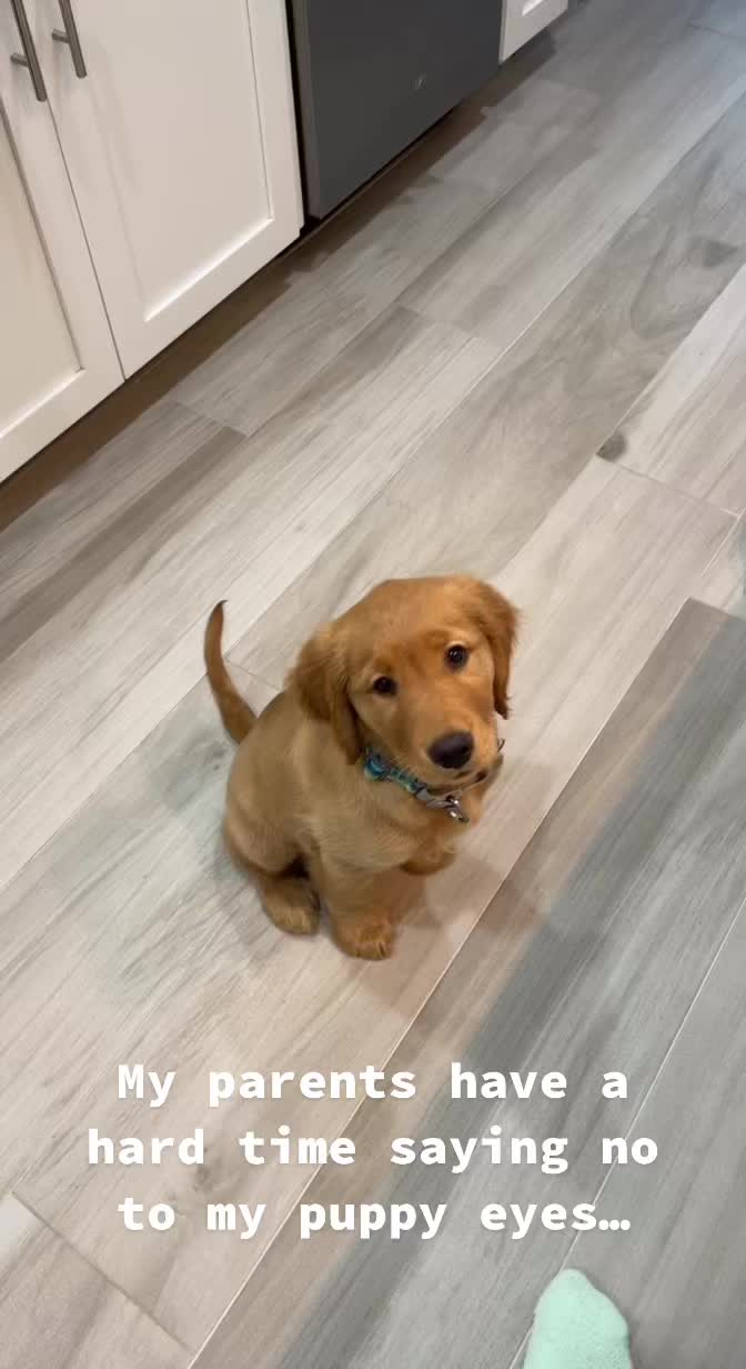 @Westley The Golden
