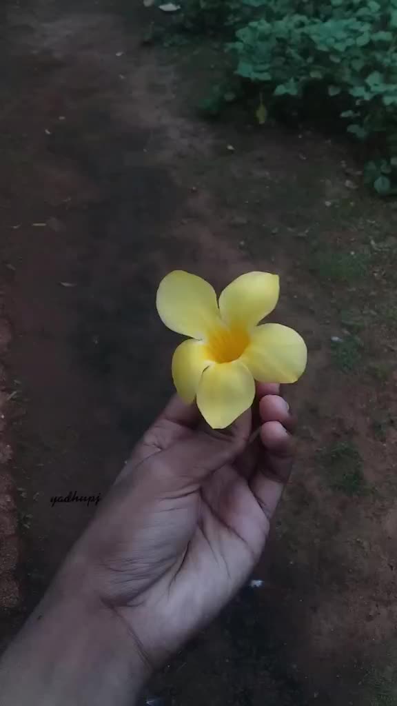 @yadhupj