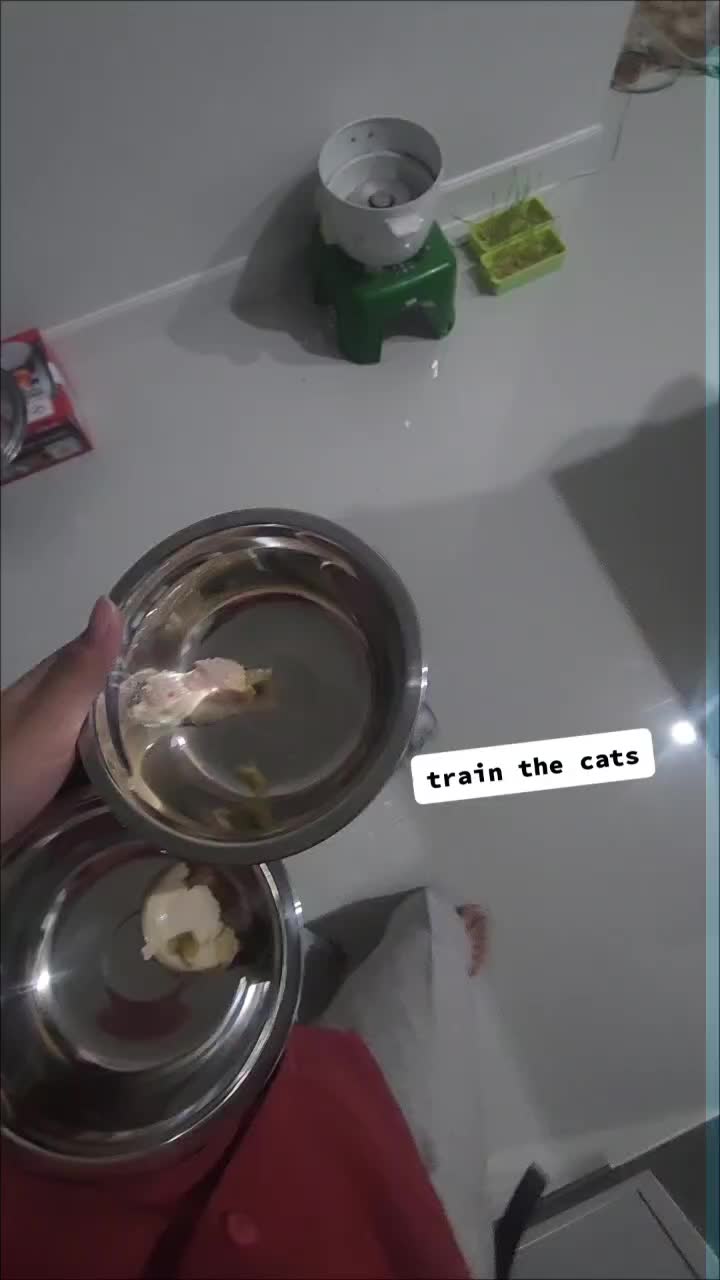 @Pandafly24