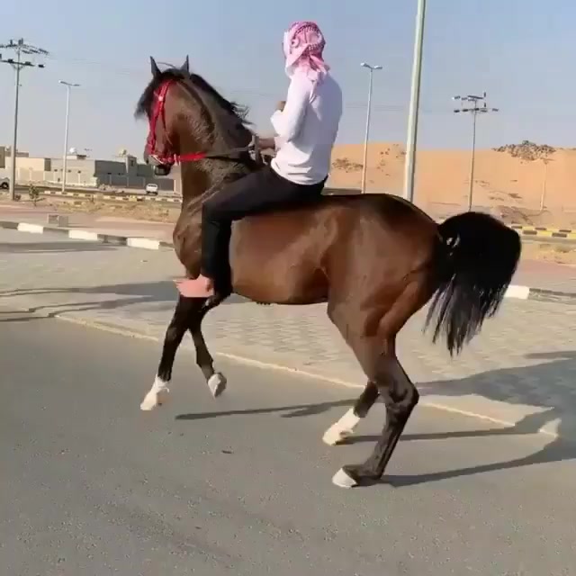 @UBAYDULLO_1997