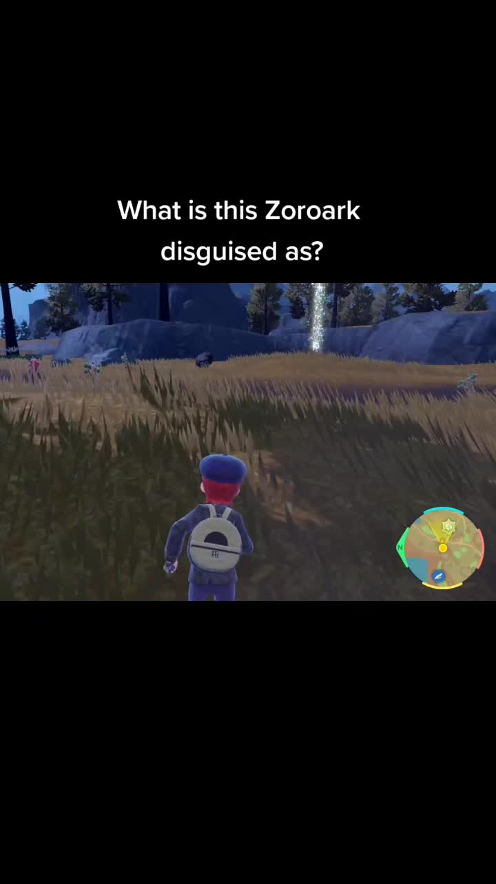 @Zeddy
