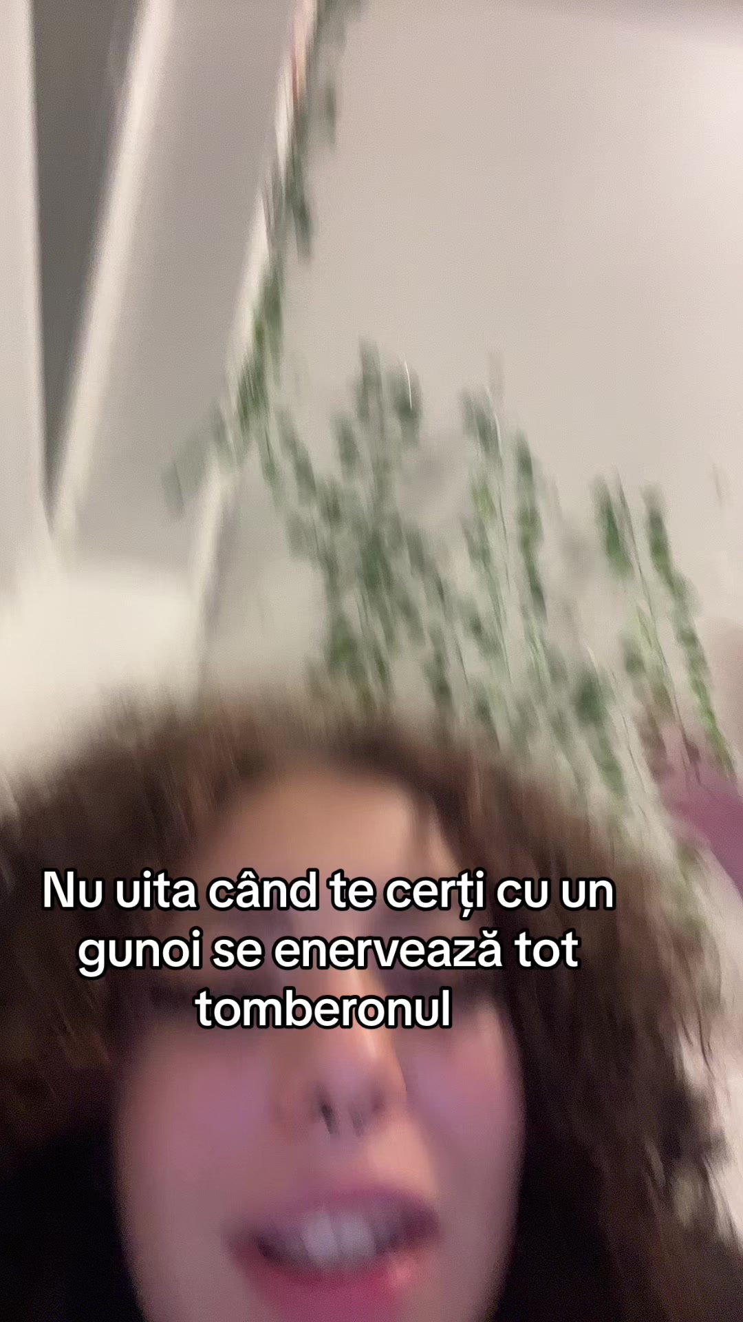 @Pao <3