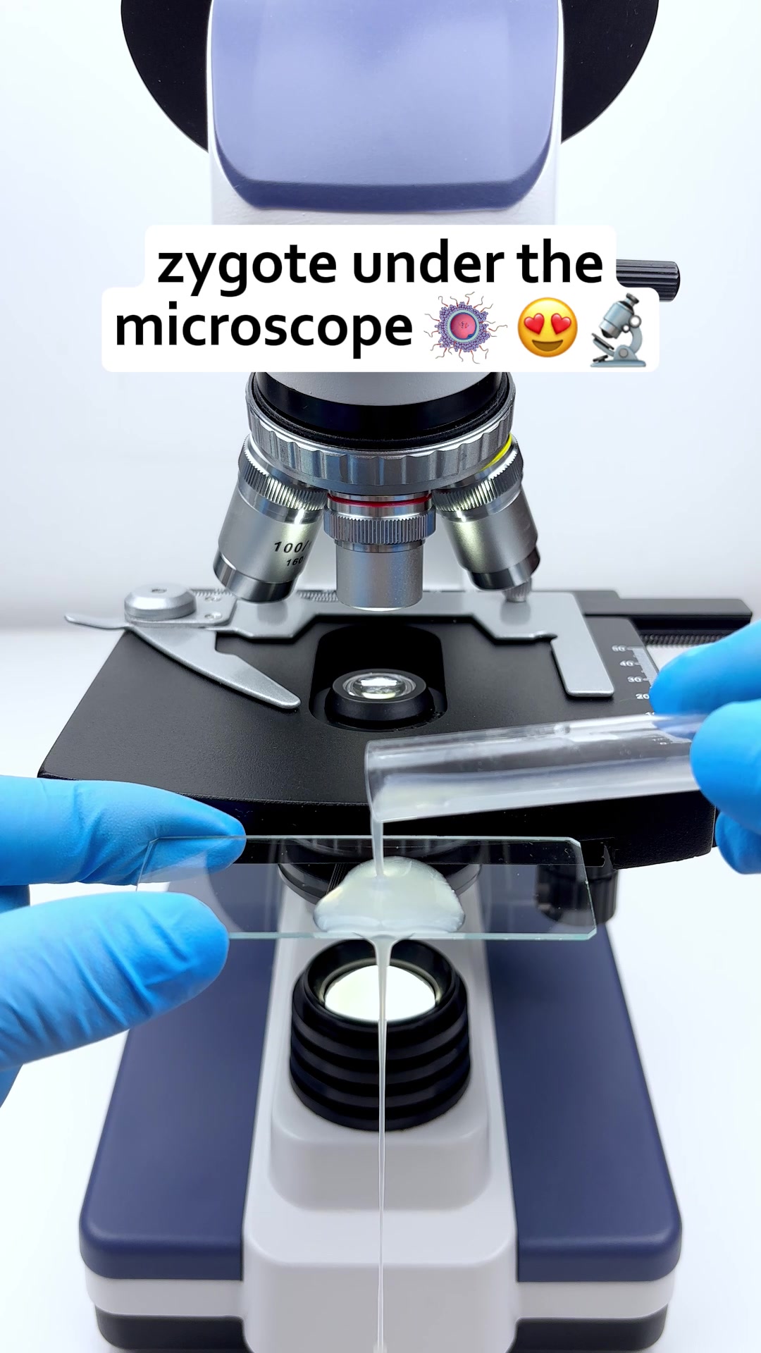 @MicroMagic6