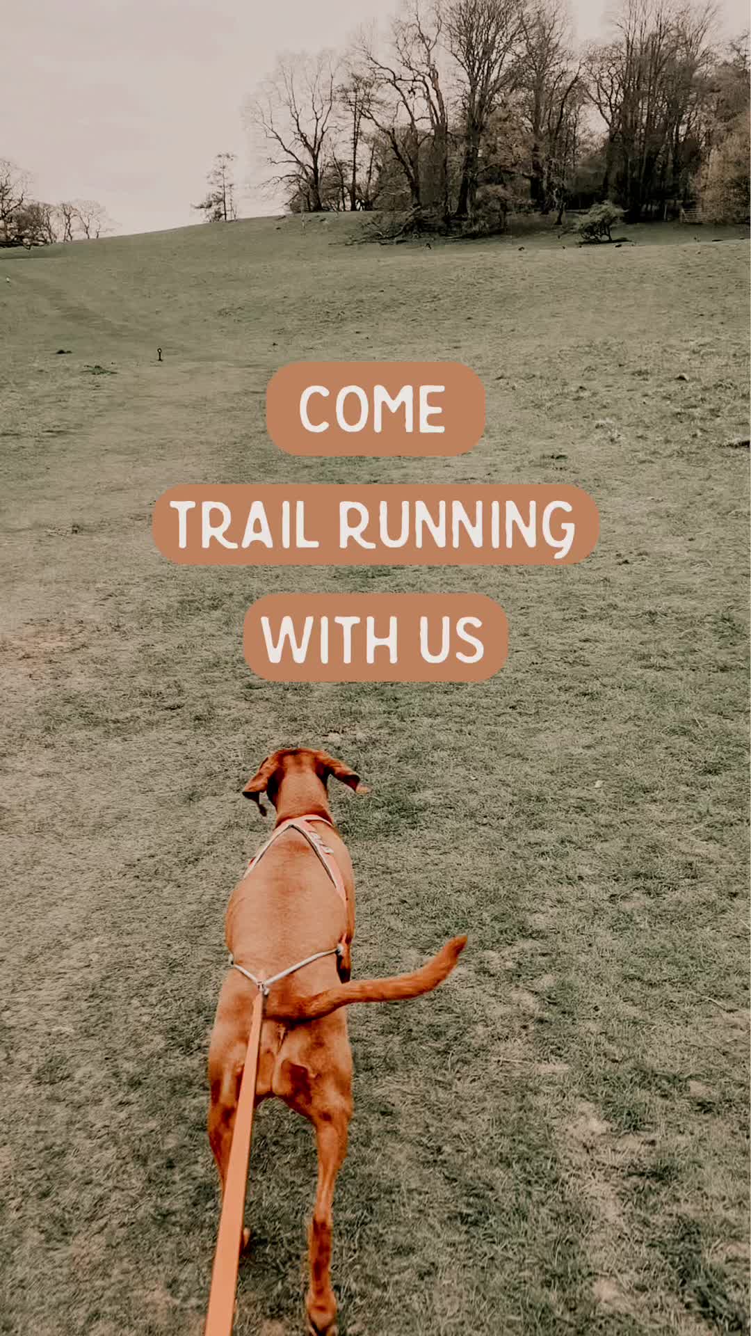@junoandcocumbria