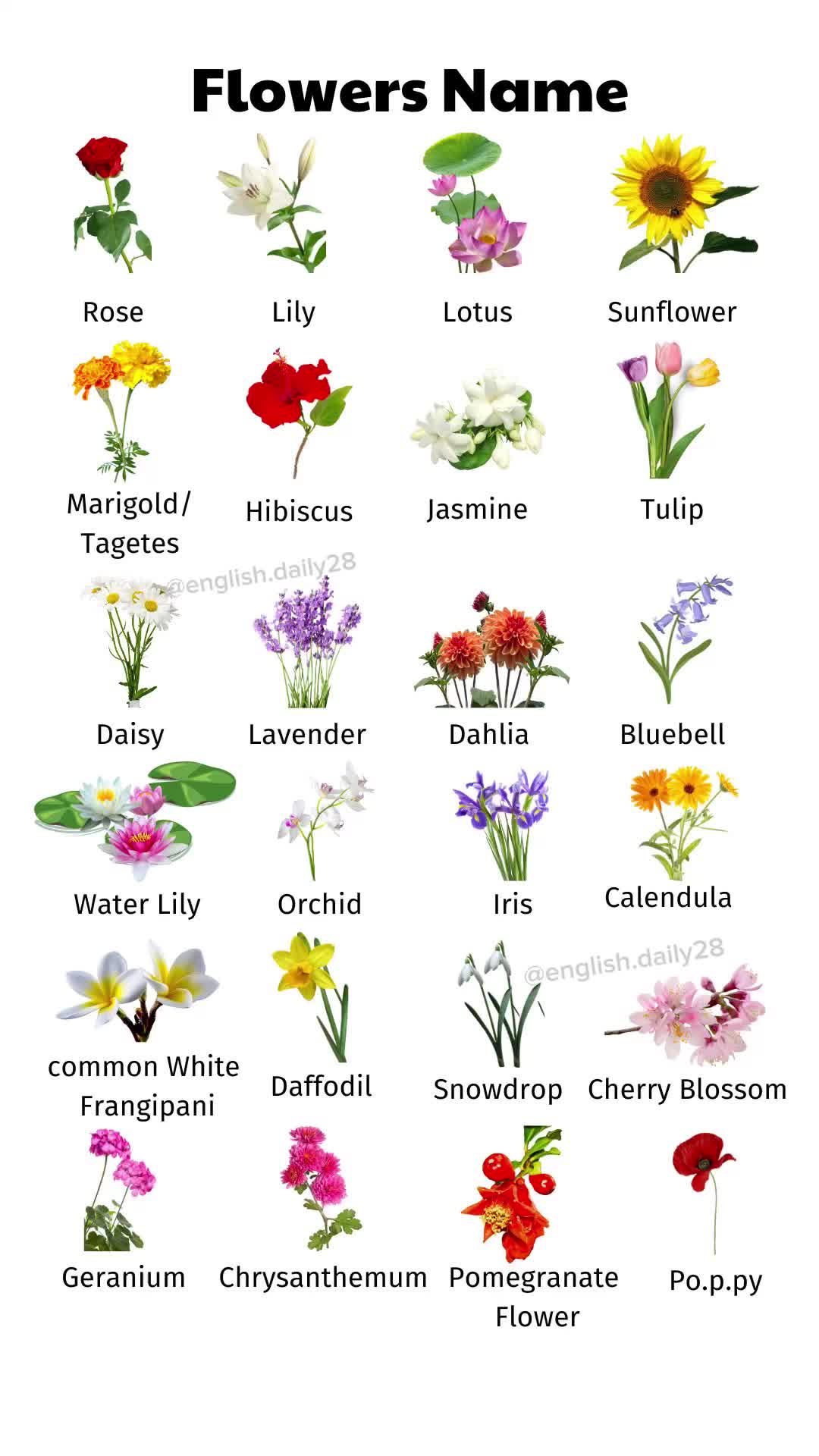 @Daily english learning