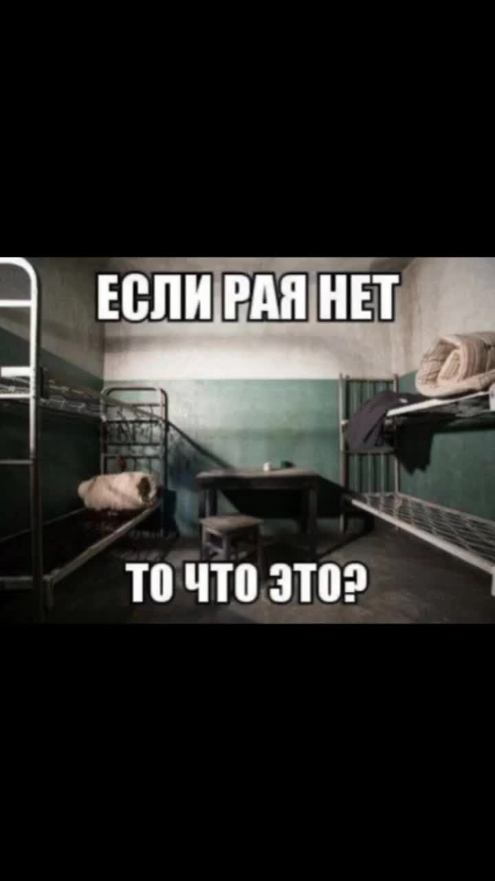 @кот летова
