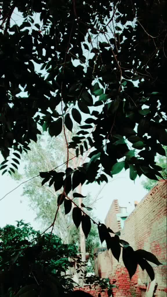 @Janvi Chaudhary