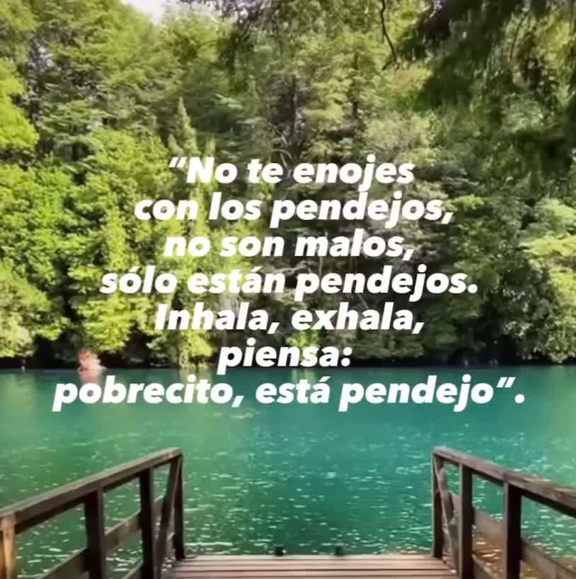 @Cris Guido