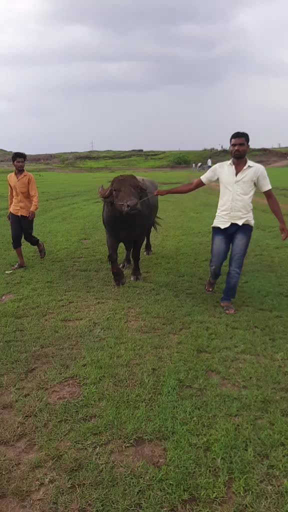 @Mukarm Khan