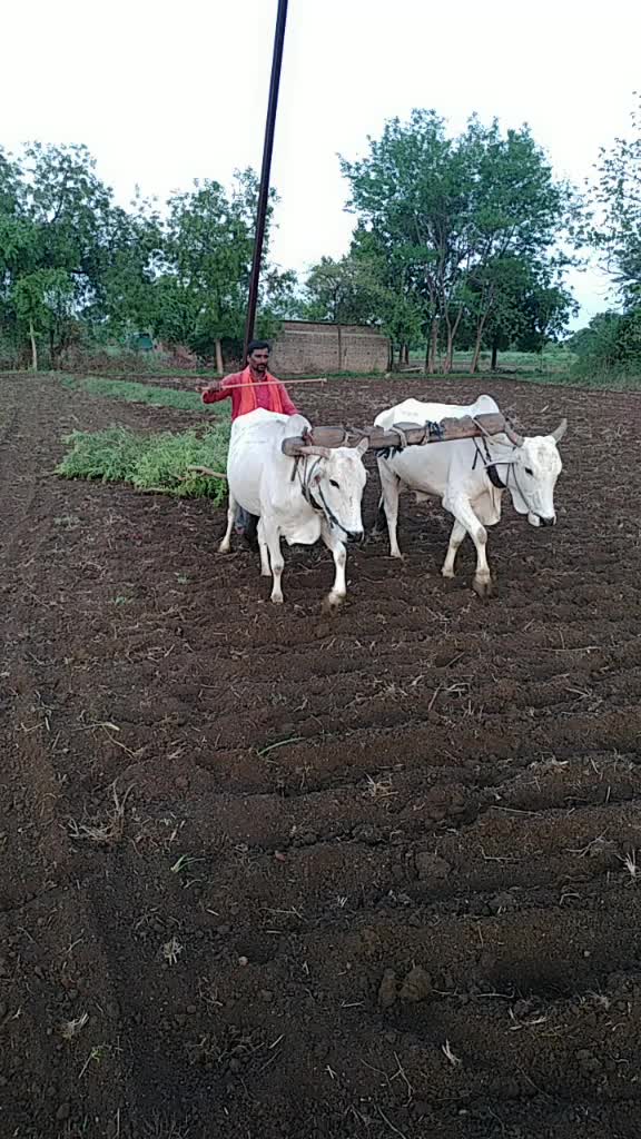 @md pawar