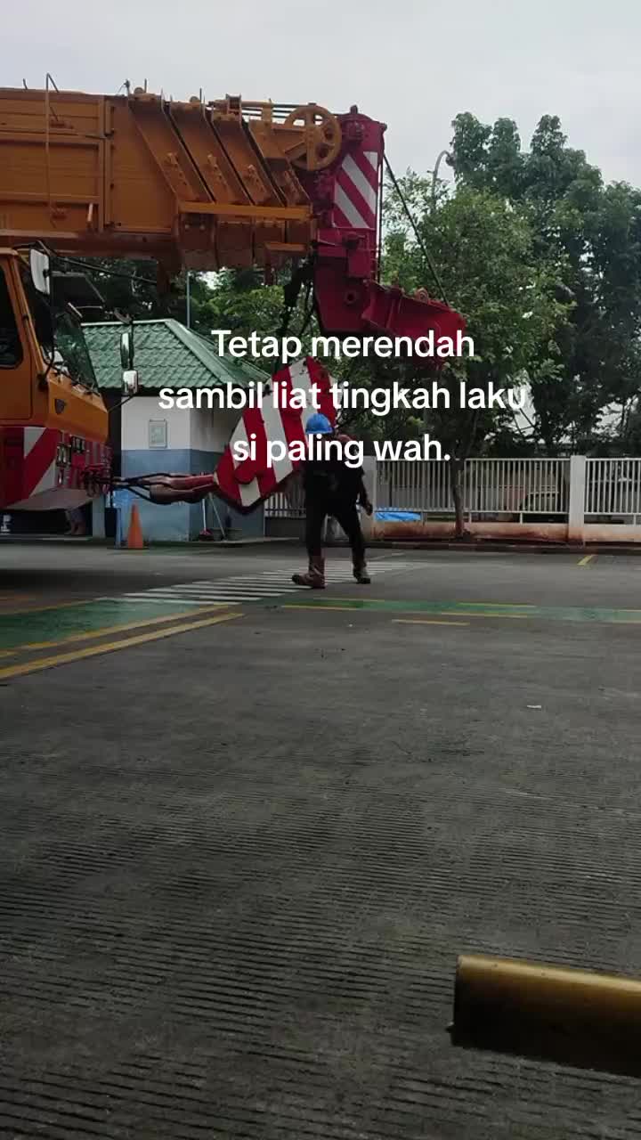 @NKL ┃REXSI