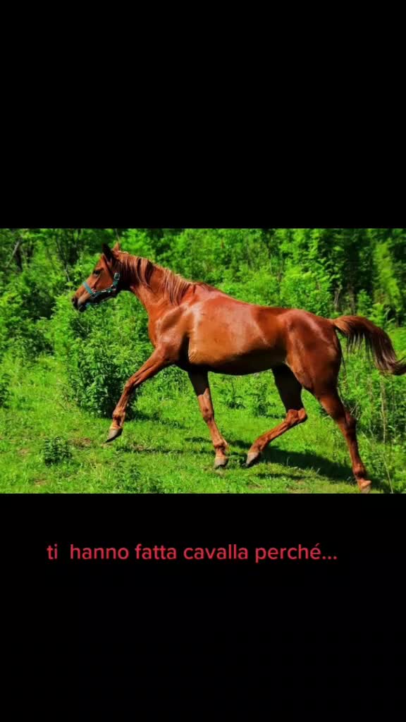 @Federica Porta