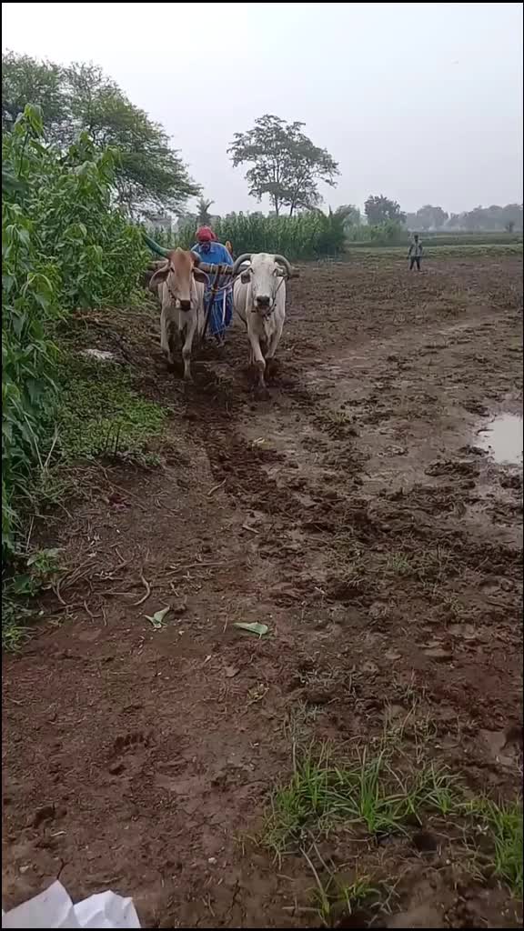 @kamal sahu 😍😍🙏