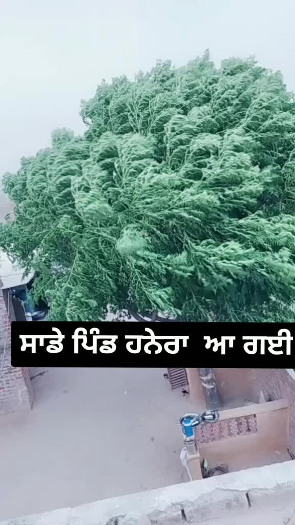 @Raman