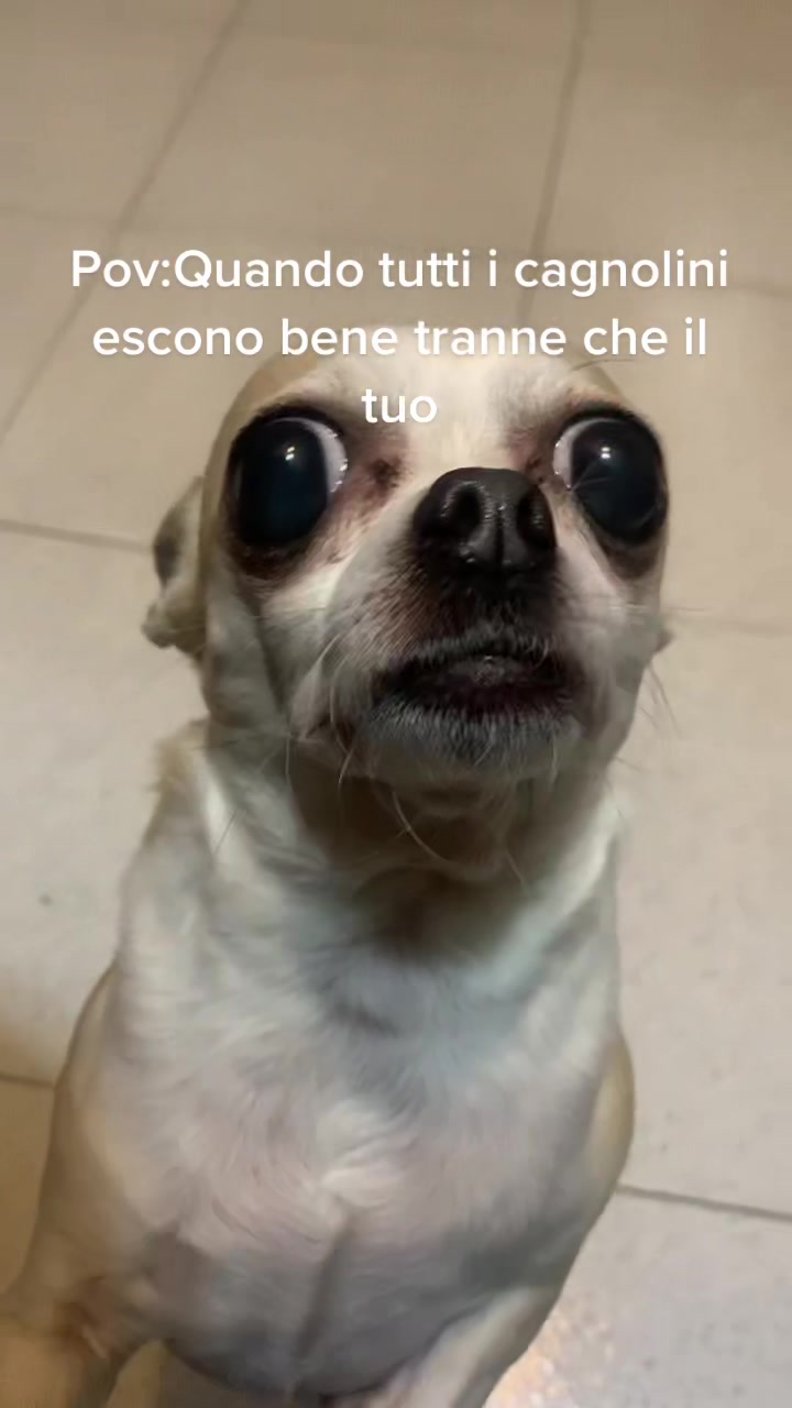 @federicanigro3
