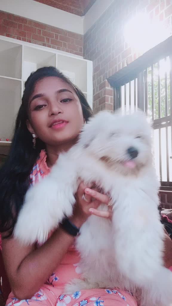 @praseethakarthik
