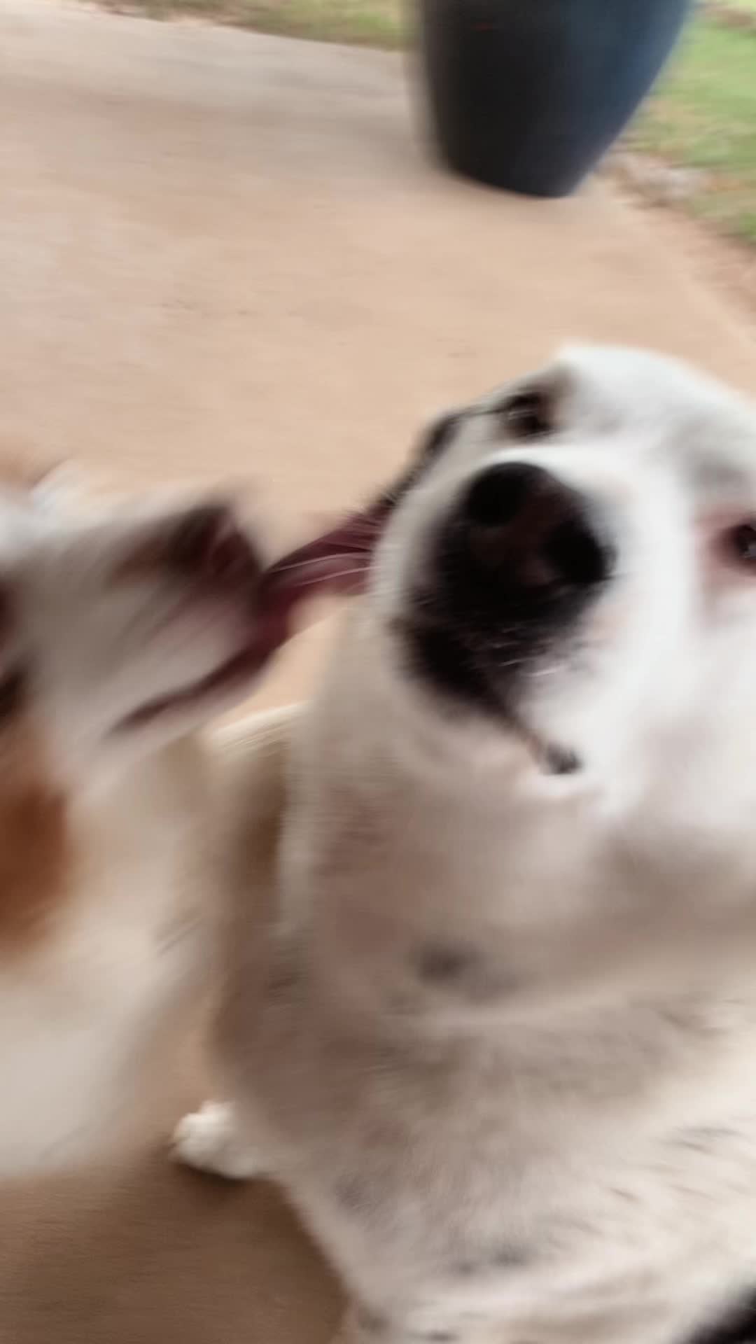 @;