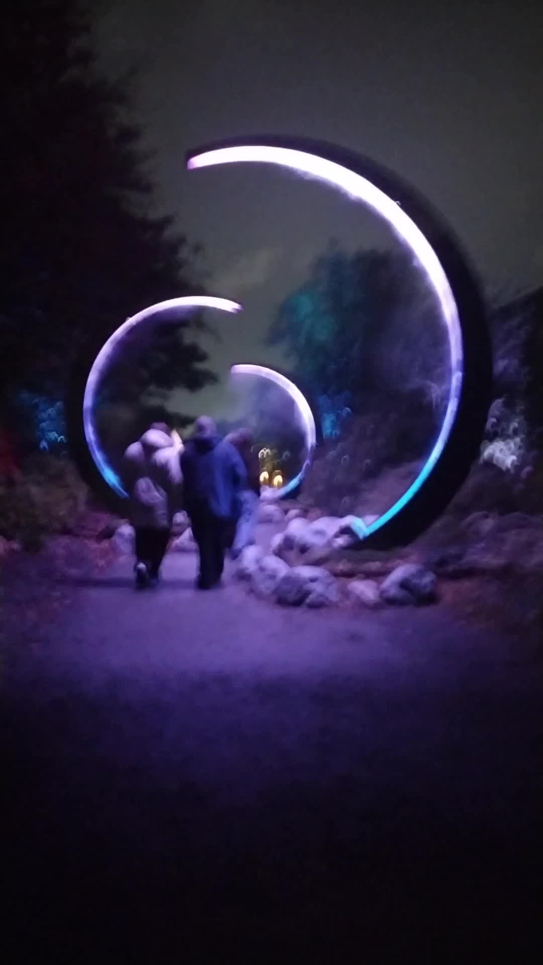 @Alta206