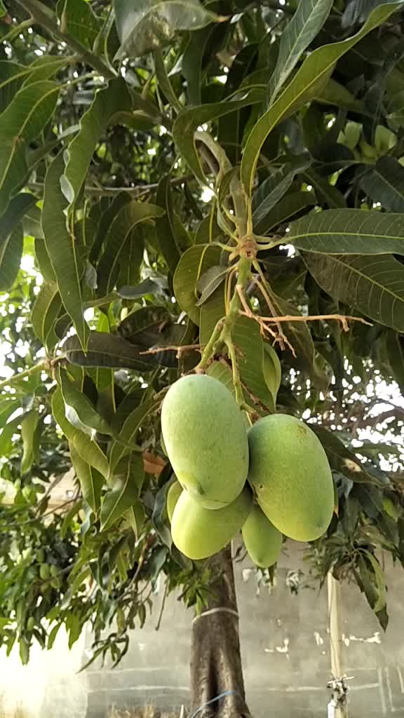 @Ranjeet Rajvanshi