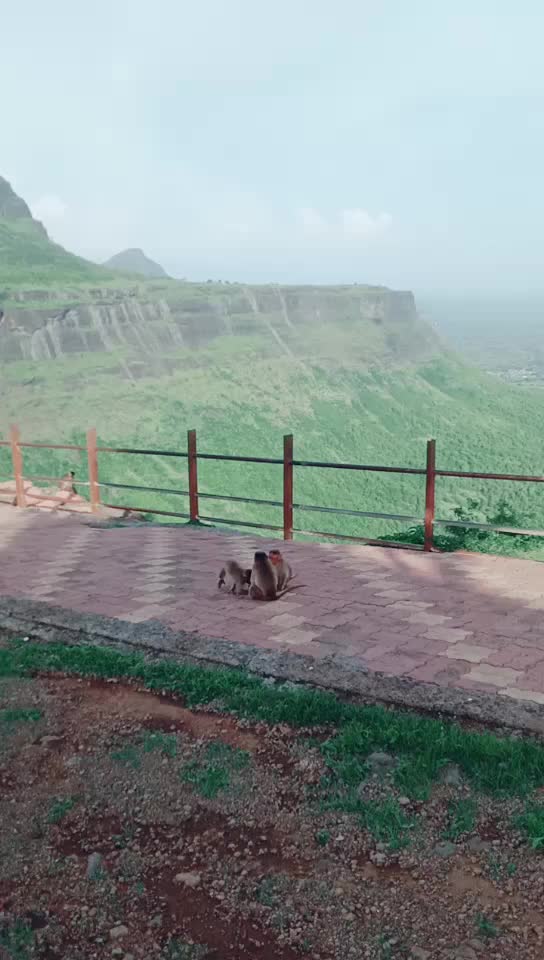 @खानदेशनी रूपाली002