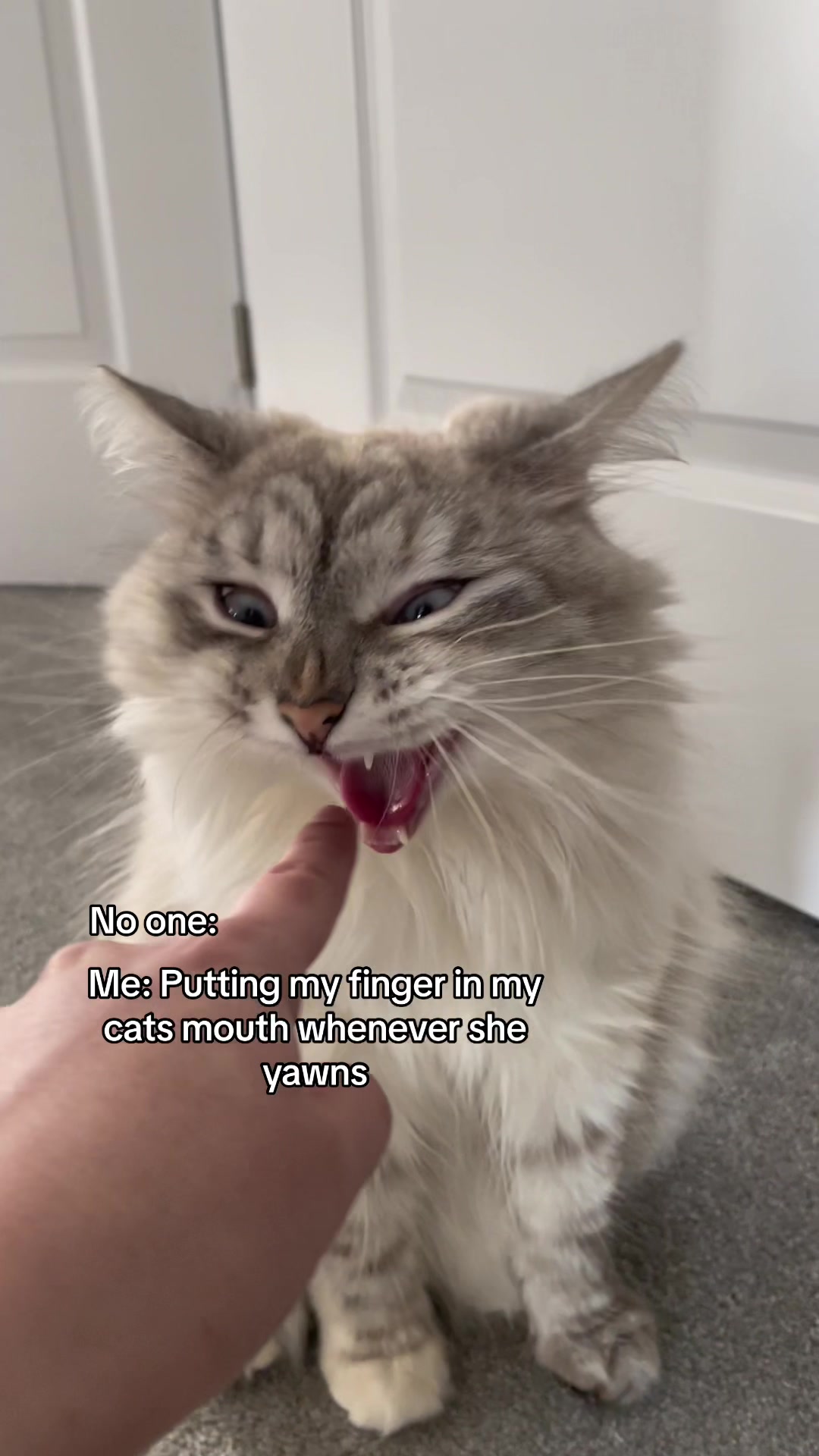 @Freya & Teddy