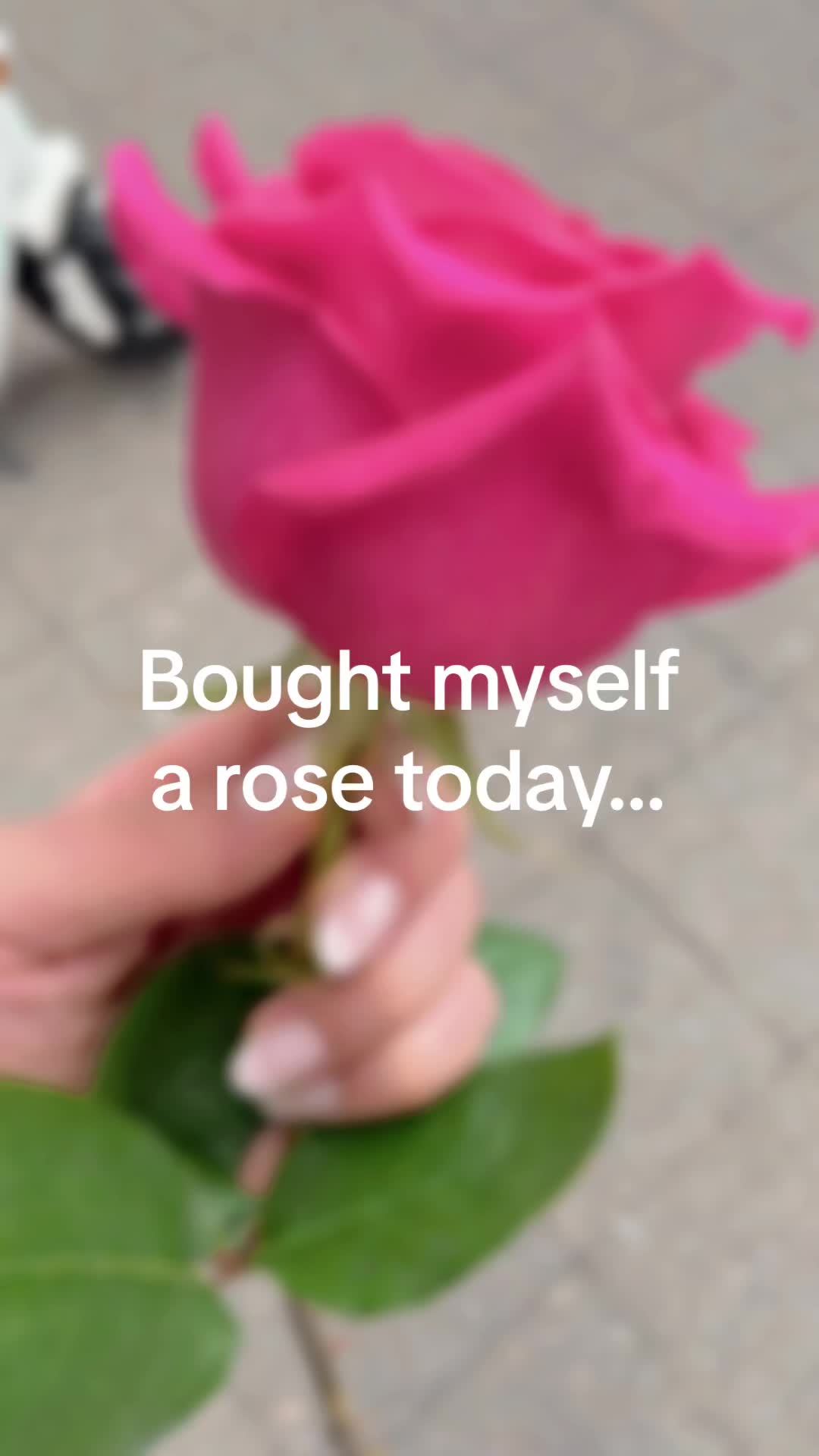 @🌷ROSIE🌷